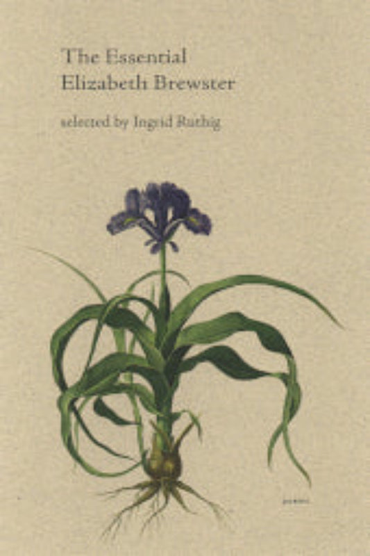 The cover of 'The Essential Elizabeth Brewster' featuring a drawing of a purple lupine flower with green leaves on a brown background, with the author's name at the top.