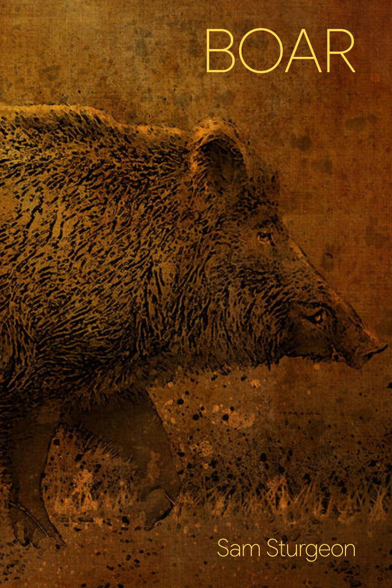Book cover for 'BOAR' by Sam Sturgeon, featuring a detailed illustration of a boar in profile against a textured brown background with gold lettering.