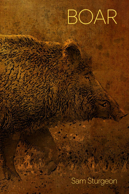 Book cover for 'BOAR' by Sam Sturgeon, featuring a detailed illustration of a boar in profile against a textured brown background with gold lettering.